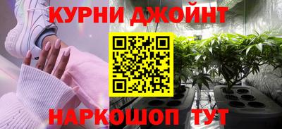 дживик Можга